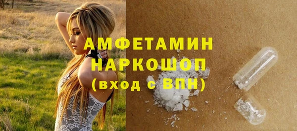 индика Володарск
